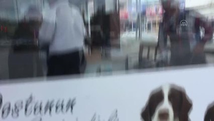 Veteriner kliniği camının evcil hayvan sahibince taşla kırıldığı iddiası