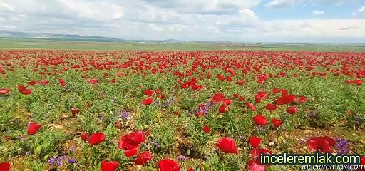 İLKBAHAR ADIYAMAN İNCELER EMLAK