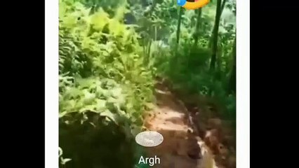 Komplikasi Video Lucu 8 Mei 2022