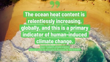 Ocean Temperatures Were, Sadly, The Hottest Ever in 2021