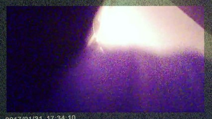 Putting away dishes l Driving to store l Powerdirector