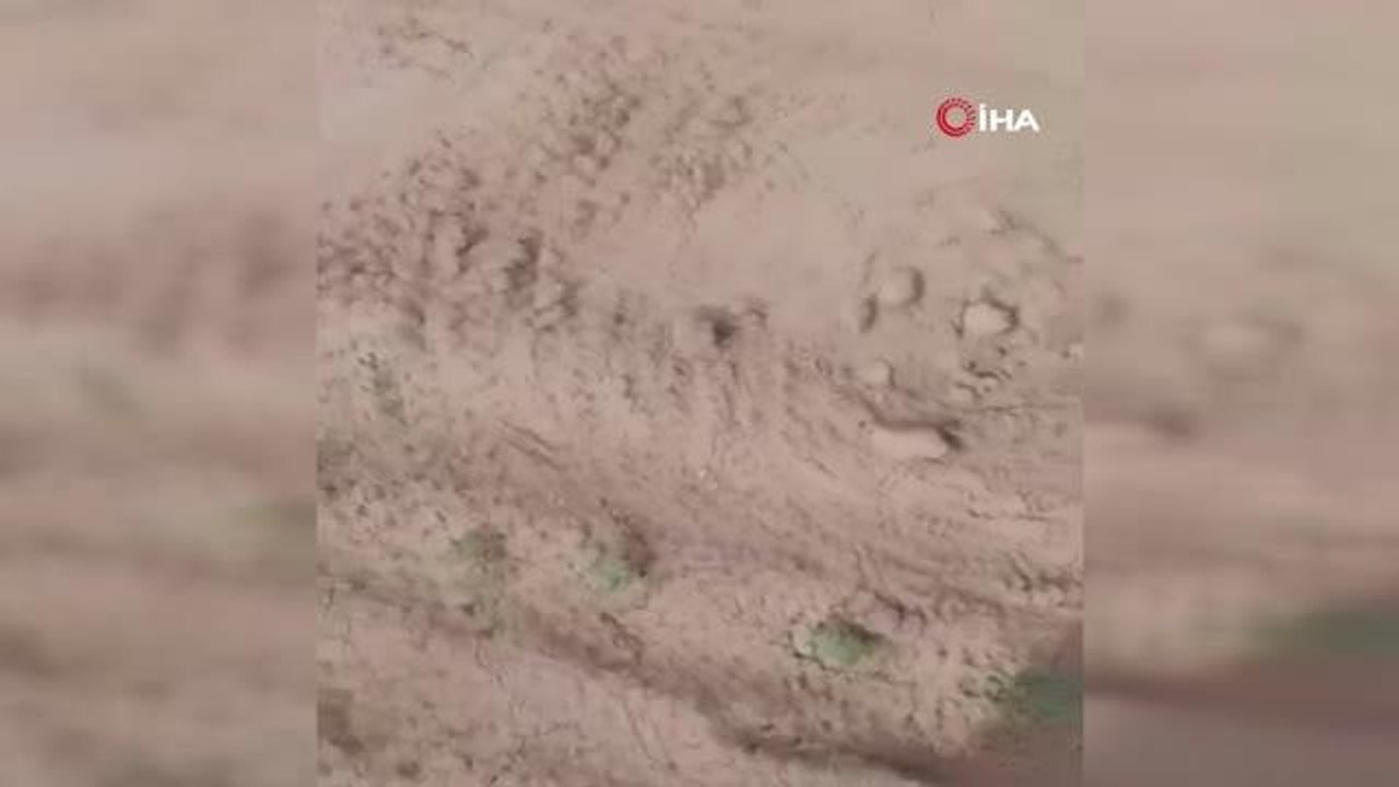 Türkiye'deki kuraklık riskine dikkat çekildi