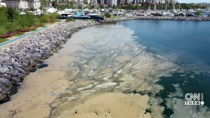 CNN TÜRK ekibi Marmara Denizi'nin dibini görüntüledi