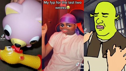 funny tiktok videos that will make you cry from laughter