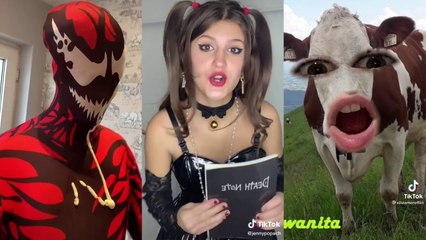 TIK TOK MEMES that had me laughing for days