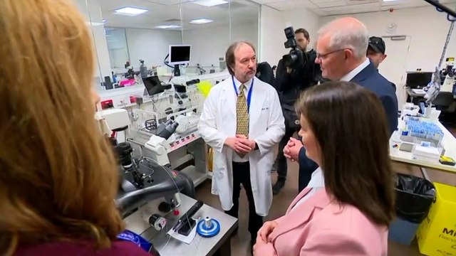 Government pledges $53m on IVF subsidies for cancer patients