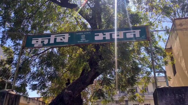 13 crore will be spent on seeds