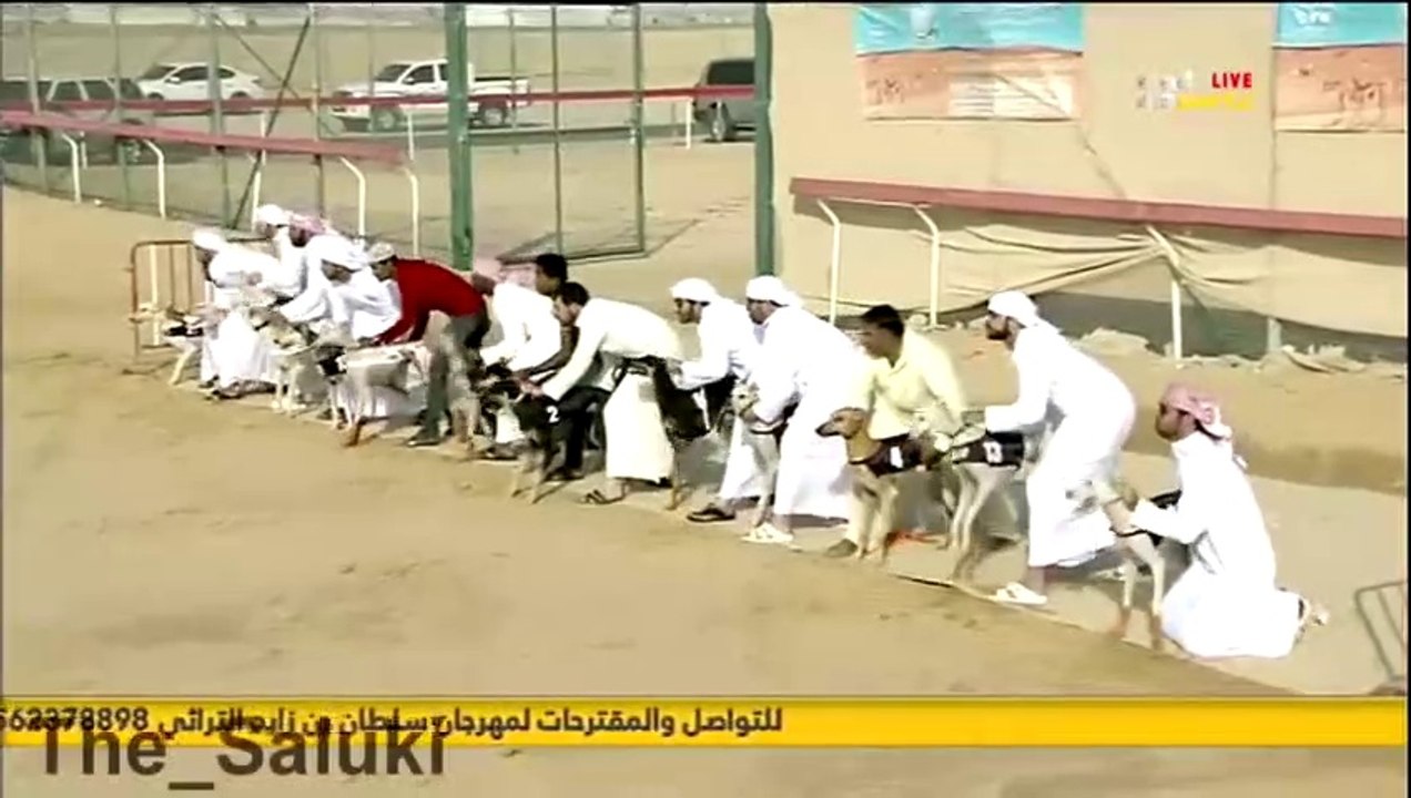 نهائي بطولة سلطان بن زايد -سويحان- شوط الذيخه