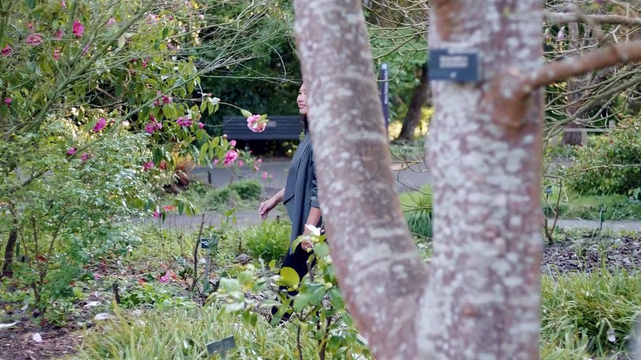 Der Mensch Innere Welten Staffel 1 Folge 5 HD Deutsch