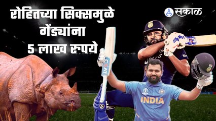 Rohit Sharma IPL 2022 | रोहित शर्माच्या 'त्या' सिक्समुळे गेंड्यांना मिळाले पाच लाख रुपये  | Sakal