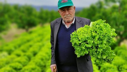 Üreticiler 10 liralık kar payına isyan etti! Ucuz sebze isteyen tüketiciyi tarlaya çağırdı