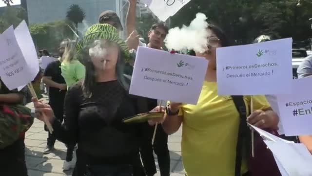 Brasil y México alzan la voz en defensa del consumo y cultivo legal de marihuana