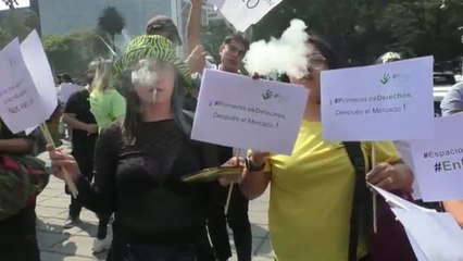 Download Video: Brasil y México alzan la voz en defensa del consumo y cultivo legal de marihuana