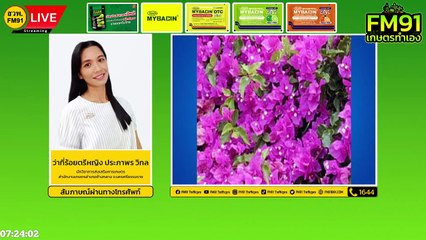 ไม้ดอกทนแดด ร้อนแค่ไหนก็ทนได้ : FM91 เกษตรทำเอง : 8 พฤษภาคม 2565