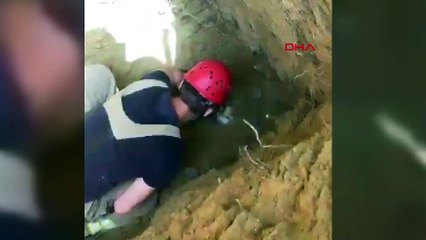 Kuyuya düşen köpek saatler süren çalışmayla kurtarıldı