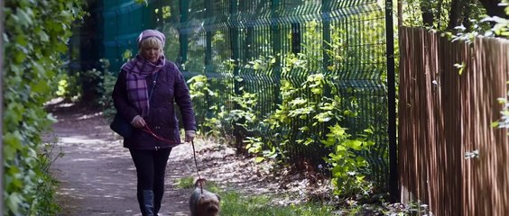 Mit Herz und Hund Film