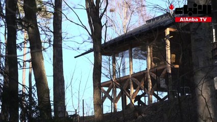 الدول الاسكندنافية تلجأ إلى المباني الخشبية كخطوة صديقة للبيئة