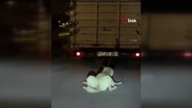 Köpeği kamyonun arkasına bağlayan sürücüye para cezası ve adli işlem