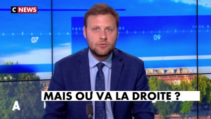 Alexandre Devecchio à propos des Républicains : «C’est un parti dont on se demande à quoi il sert»