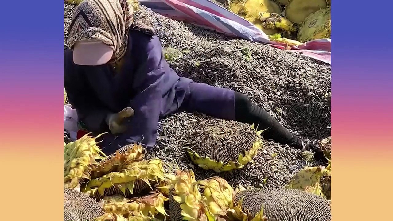 Most Oddly Satisfying Video to Help You Relax & Calm Your Nerves