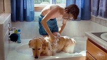 Diamond Dog : un chien pas comme les autres | Film Complet en Français | Famille, Aventure