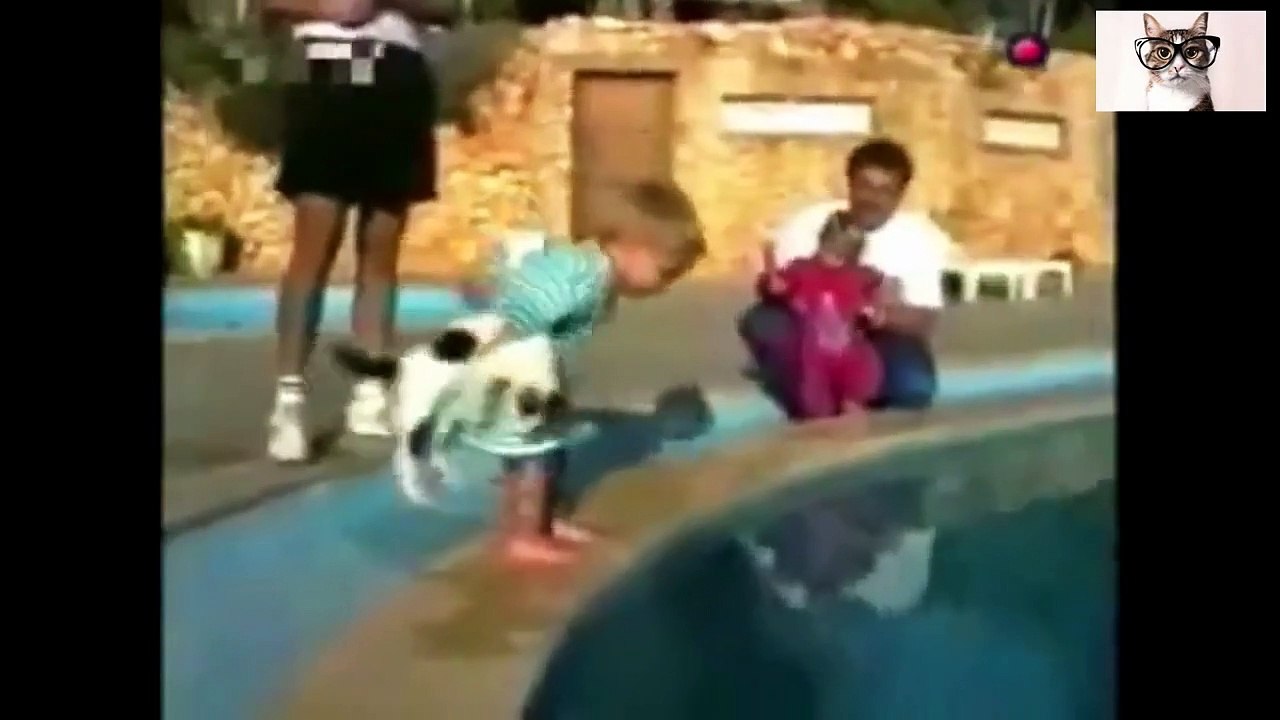 Funny videos of cats ...... cats to the water!!!! NUMBER 35