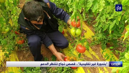 "بندورة غير تقليدية".. قصص نجاح تنتظر الدعم