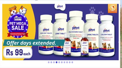 Is a rottweiler dog safe for Owner