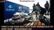 There's a 1000-pound great white shark swimming near the Jersey shore - 1BREAKINGNEWS.COM
