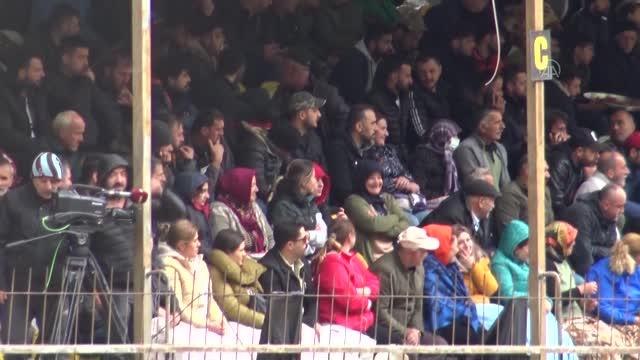 15. Melo Boğa Güreşleri Festivali yapıldı