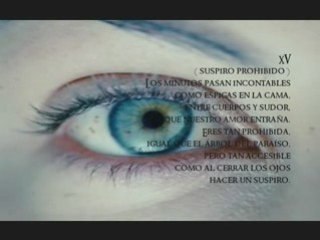 Escritos- diario de Yariguies