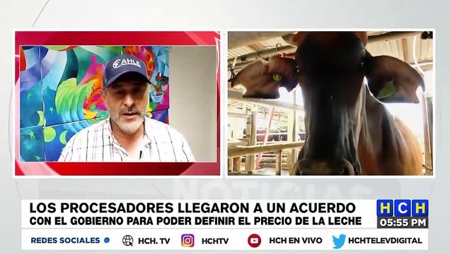 Ganaderos de Olancho siguen sin llegar a acuerdos con el gobierno por el precio de la leche