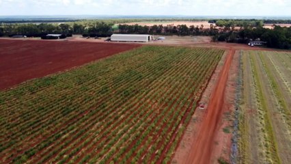 Farmers seek solutions to worker shortage & rising costs