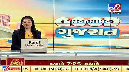 In a first, 5 year old lion gets vision due to surgery at Sakkarbaug Zoo, Junagadh _ TV9News