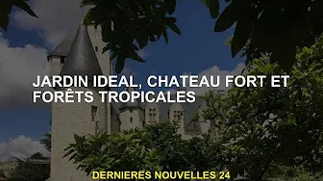 Idéal pour les jardins, les châteaux forts et les forêts tropicales