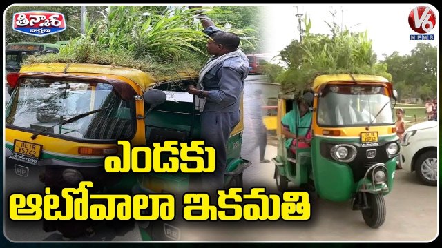 Driver Grows Garden On Auto Roof To Beat Heat _ Delhi _ V6 Weekend Teenmaar