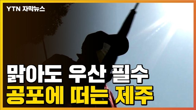 [자막뉴스] 비가 오지 않아도 우산 들고 다녀 ...공포에 떠는 제주 주민들 / YTN