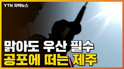 [자막뉴스] "비가 오지 않아도 우산 들고 다녀"...공포에 떠는 제주 주민들 / YTN