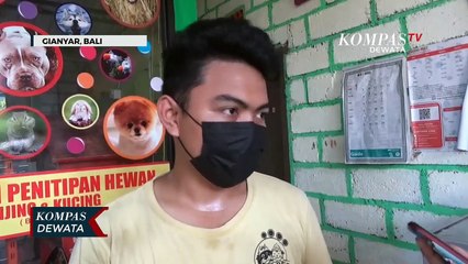 Libur Lebaran, Tempat  Penitipan Hewan Laris Manis