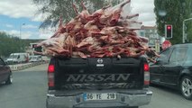 Kilolarca etin kamyonet kasasında ilginç yolculuğu
