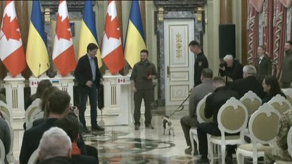 'Patrol', orgullo canino de Ucrania