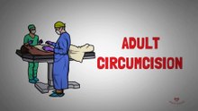 Adult Circumcision