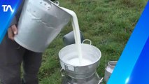 Productores lácteos anuncian medidas contra el Gobierno por falta de atención a pedidos