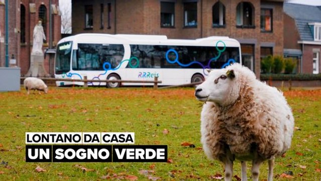 Il sogno di mezzi di trasporto completamente elettrici diventa realtà