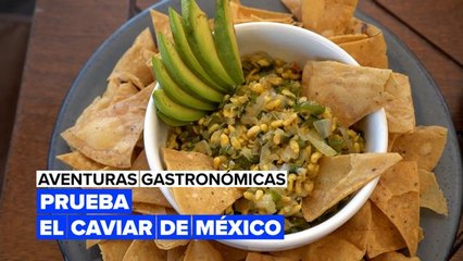 Aquí tienes un exquisito platillo del caviar mexicano