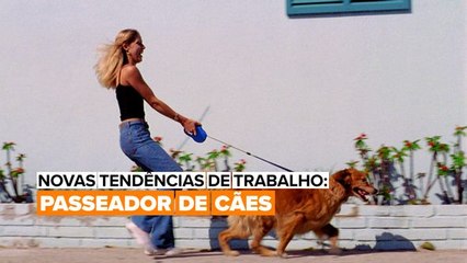 Novas Tendências de Trabalho: Passeador de Cães