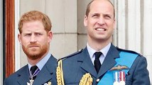 Prince William 'fears Prince Harry will spill details of chats at Jubilee for Netflix'
