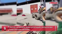 Yavrusu kurtarılana kadar başında bekledi