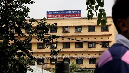 Old Delhi_ Tis hazari Court and Metro Station