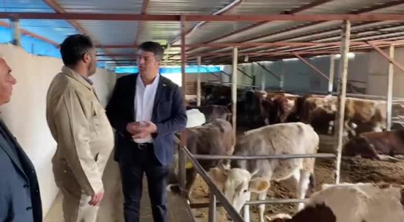 Adıyamanlı Besici: "Yurt Dışından Hayvan Getireceğine, Çiftçine Destek Çık"